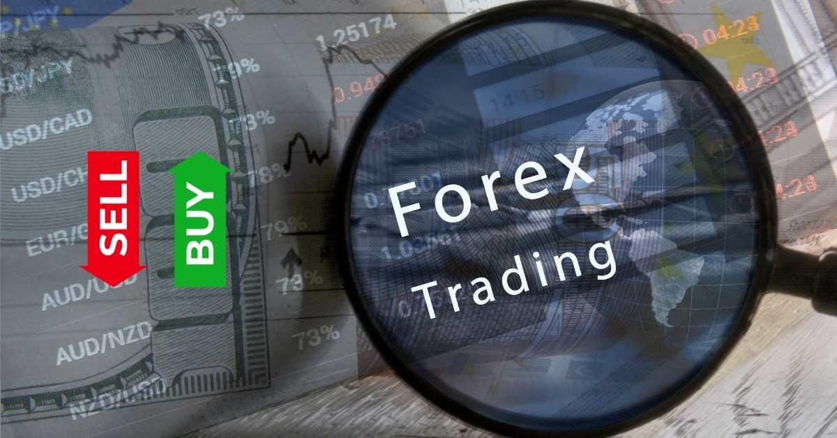 Best Forex Courses Available Online 